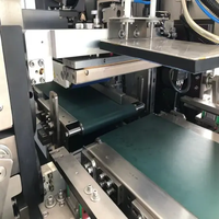 Machine d'emballage automatique multifonctionnelle pour boulettes de viande Siomai Mochi Family Package Horizontal Pillow Flow Packing Machine