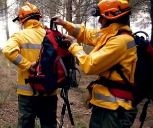 Extintor de Incendios Forestales de Alta Presión con Pulverizador de Agua Fina Tipo <span class=keywords><strong>Mochila</strong></span> de 20L - Product Image 1