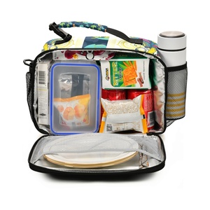 Bolsa de Almuerzo Infantil con Estampado de Dinosaurios, Personalizada, Reutilizable, Térmica y Aislada, para Picnic al Aire Libre, Venta Caliente - Product Image 2