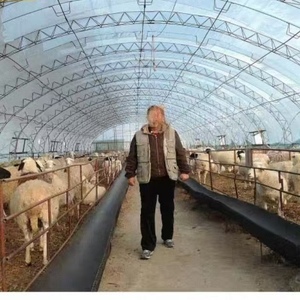 <span class=keywords><strong>Serre</strong></span> tunnel polyvalente à simple travée, personnalisable, économique, pour <span class=keywords><strong>poulailler</strong></span> et agriculture de tomates - Product Image 6
