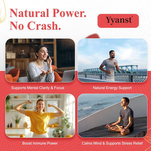 Gummies de haute qualité à base de champignon crinière de lion de marque privée, améliorent la concentration, la créativité, le soutien de l'humeur, gummies énergétiques stables - Product Image 6