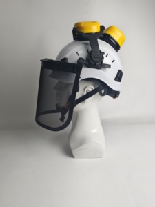 <span class=keywords><strong>Casque</strong></span> de sécurité forestier HBC blanc avec visière en maille métallique, réduction du <span class=keywords><strong>bruit</strong></span>, protège-oreilles noirs, <span class=keywords><strong>casque</strong></span> de protection pour le travail du bois - Product Image 6