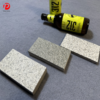 Dalles de pavage en céramique mate de 25 mm d'épaisseur, 600x600 mm, résistantes à l'usure, résistantes à l'eau, carreaux de sol extérieurs