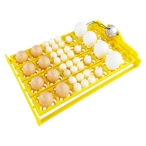 Bandeja Giratoria Automática de 360 Grados para Voltear Huevos, Incubadora de Huevos con Rodillo Giratorio Automático para 42 Huevos - Product Image 2