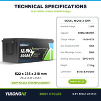 Batterie LiFePO4 à semi-conducteurs YULONGNE 12V 300Ah 3600Wh avec BMS intelligent intégré, 8000+ cycles, pour système solaire domestique hors réseau