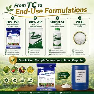 คาร์เบนดาซิม 98% TC เกรดเทคนิค สารฆ่าเชื้อราเบนซิไมดาโซล CAS 10605-21-7 ความบริสุทธิ์สูง สำหรับสูตร WP SC WDG - Product Image 4