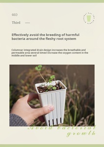 P136 Pots de pépinière de plantes <span class=keywords><strong>en</strong></span> <span class=keywords><strong>plastique</strong></span> souple Petits récipients de plantation carrés Tasses <span class=keywords><strong>pour</strong></span> plantes succulentes Semis Boutures Transplantation - Product Image 5