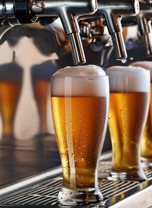Vaso de Cerveza IPA de Cristal Transparente sin Plomo de 17 oz/510 ml para Degustación de Cereales, para Bares y Pubs, Venta al por Mayor - Product Image 3
