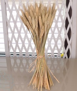 Faux épis <span class=keywords><strong>de</strong></span> blé décoratifs multicolores en fleurs séchées - Product Image 6
