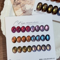 Vernis à ongles gel œil de chat effet lumière cosmique, 6 couleurs, sans HEMA, bicolore, magnétique, UV, personnalisable avec logo, OEM