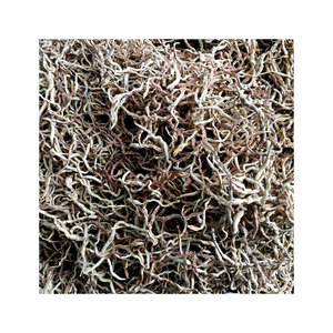 मछली फ़ीड फ्रीज सूखे केंचुआ मछली Lures खाद्य केंचुआ - Product Image 5