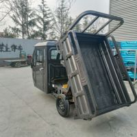 NUEN Mini tricycle électrique chinois avec toit ouvert Type de carrosserie Capacité de charge utile de 400kg Portée de 80 à 100km pour le transport de marchandises
