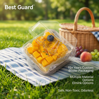 Barquette pliante transparente thermoformée sur mesure de qualité alimentaire pour pâtisserie, récipient intérieur jetable pour gâteaux, boîte cadeau de boulangerie pour la vente au détail