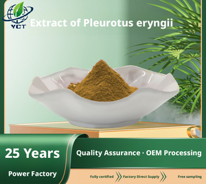 Polvo de Extracto de Hongo King Oyster |   Pleurotus <span class=keywords><strong>Eryngii</strong></span> |   10% Polisacáridos |   Suplemento para el Sistema Inmunológico - Product Image 2