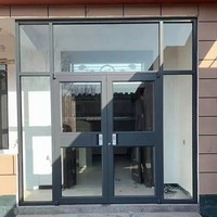 Puerta de Vidrio de Estilo Moderno en Aluminio Negro con Travesaño y Paneles Laterales, Resistente al Viento, Tamaño Personalizado para Oficina, Hotel, Hospital, Centro Comercial y Entrada