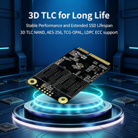 SSD MSATA Kelas Enterprise yang Tangguh, Flash 3D TLC Solid State Drive untuk Kendaraan di Dalam Kendaraan & Perangkat Tertanam yang Dipasang di Kendaraan