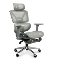 Chaise de conférence exécutive traditionnelle, chaise de bureau ergonomique en maille avec fonctions réglables
