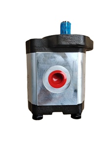 <b>Crane</b> and engineering equipment parts 0510001020 gear pump - Product Image 2