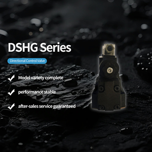 Oferta Especial: Válvula Direccional Hidráulica Electromecánica DSHG de 31.5Mpa de Presión y 0-500gpm de Flujo - Product Image 1