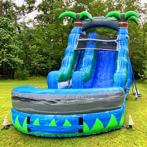 Trẻ em ngoài trời nhảy ướt bơm hơi khổng lồ trượt nước bouncy nhảy màu xanh lớn Rush waterslides Inflatable không khí nhiệt đới thổi trượt - Product Image 2