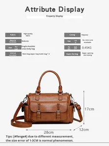 2025夏季新款女式休闲手提包欧美时尚单肩斜挎包大容量复古拉链 - Product Image 2