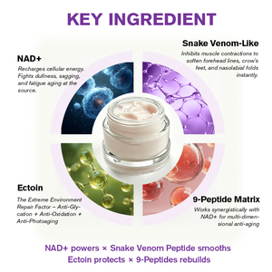 Crème <span class=keywords><strong>Bio</strong></span> Lifting NAD+ Boosting Anti-Âge Hydratant Visage Raffermissant Réduit les Ridules Illumine le Teint Terne Renforce la Barrière Cutanée - Product Image 3