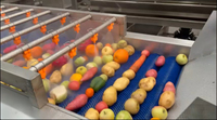 De Speciale Volledig Automatische Productielijn Voor Fruitgroente Voor Voedselverwerking Loopt Automatisch