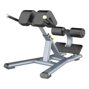 Source Factory Free Weight Bench Press Extensión trasera Máquina deportiva Equipo de fitness Silla romana para gimnasio