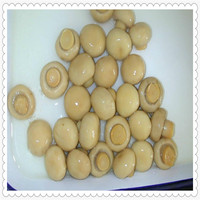 Champignon en conserve de légumes (entier, moitié, morceaux, tranche)