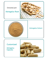 Poudre d'extrait de racine d'astragale 30% 70% polysaccharides de qualité alimentaire en vrac pour complément alimentaire de soutien immunitaire