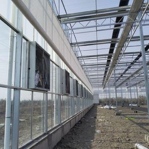 2025 coût d'usine <span class=keywords><strong>Serre</strong></span> commerciale Venlo 9.6m Span Glass Green house Garden Used for Sale - Product Image 4