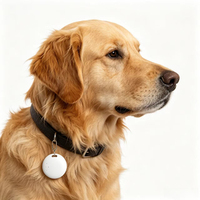 Localizador Bluetooth para Mascotas (Perros y Gatos) con Sistema Dual Apple Find My y Google Find Hub, Alarma Bidireccional, Batería de 12 Meses, Compatible con IOS