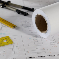 Rollo de papel de dibujo de plotter CAD Película de dibujo de poliéster Mylar 75um 100um
