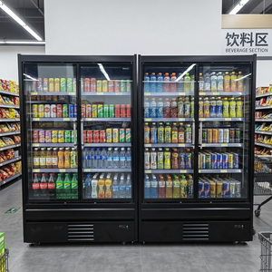 Refrigerador Vertical con Puerta de Vidrio Antivaho SDERE - Enfriador de Bebidas de Bajo Consumo para Supermercados y Minoristas DMS - Product Image 1