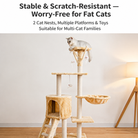 Arbre à chat, lit pour chat et arbre à chat intégré, spécialement conçu pour les grands chats