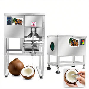 เครื่องขัดเปลือกมะพร้าวแบบแข็งอัตโนมัติ - Product Image 4