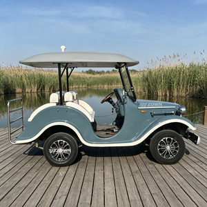 Wholesale High Quality Electric Classic Sightseeing Car Body Shell Vintage Wheels 4 Wheels Customized Color Size 2-Year Warranty - Product Image 1
