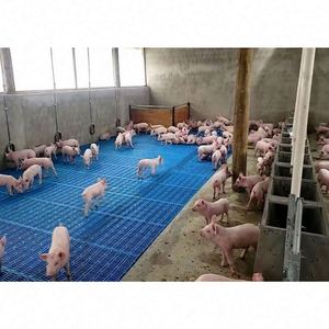 Caja para cerdos de engorde, equipo agrícola duradero, nuevo e higiénico, limpio y personalizado al por mayor - Product Image 2