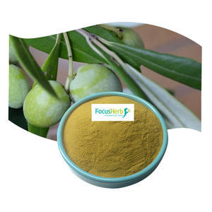 FocusHerb USA Entrepôt Extrait de plantes de qualité alimentaire Poudre d'oleuropéine de feuille d'olivier 40% HPLC - Product Image 1