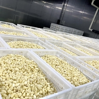 Ail frais pelé en gousses, usine du Shandong, prix bas, exportation d'ail pelé en gousses
