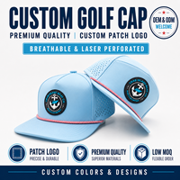 Gorras de Béisbol Deportivas Unisex con Logotipo Bordado de Diseñador Original, Ajustables, de 5 Paneles, con Diseño de Puntos Dobby y Leopardo, Gorras de Golf Personalizadas