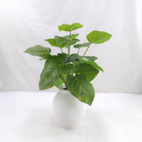 Tanaman Pot Kecil Dekoratif Cantik Grosir, Bunga Plastik, Set Bunga Artificial, Bonsai, Dekorasi Rumah Ruang Tamu, Pernikahan