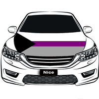 Housse de capot de voiture personnalisée en polyester, motif arc-en-ciel gay demiromantique, pour défilé Pride, arrière-plan de photographie et décoration de spectacle