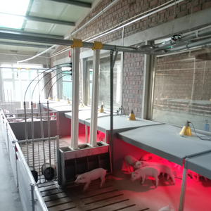 ใหม่กรงสัตว์สำหรับลูกหมูคอกสถานรับเลี้ยงเด็กในฟาร์มหมู - Product Image 1