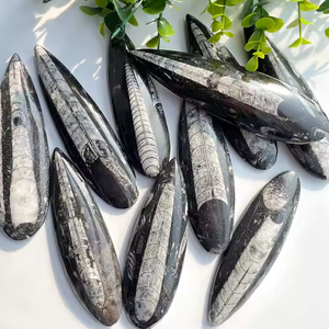 Fósiles de Trilobites al por Mayor, Piedra Sinijiao de Impacto Directo, Especímenes Arqueológicos, Fósiles Naturales del Fondo Marino, Piedras en Bruto para Decoración - Product Image 4