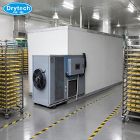 Batch-type fruitdroger, snijmachine voor citroenen, kokosdroger te koop
