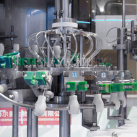 Machine de remplissage automatique de bouteilles en verre à 16 têtes pour les projets de ligne de mise en bouteille de petites boissons et de bière