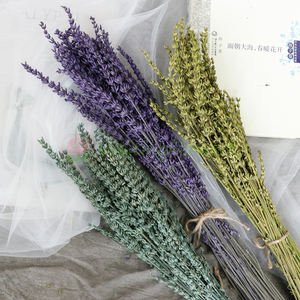 Verano venta al por mayor regalo de boda Fresca natural toque real flor eterna para siempre y de flores de <span class=keywords><strong>lavanda</strong></span> - Product Image 5