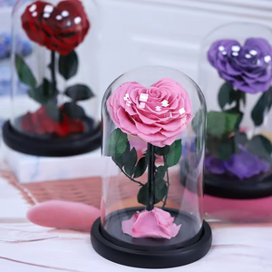 Rosa Eterna a Forma di Cuore in Cupola di Vetro, Regalo per la Festa della Mamma, Ispirato al Piccolo Principe - Product Image 4