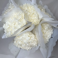 Bunga Hydrangea Awet Terstabilkan dengan Gliserin, Tahan Lama, Bunga Kering Asli untuk Dekorasi Pernikahan, Wisuda, Rumah, Buket Abadi Tanpa Air